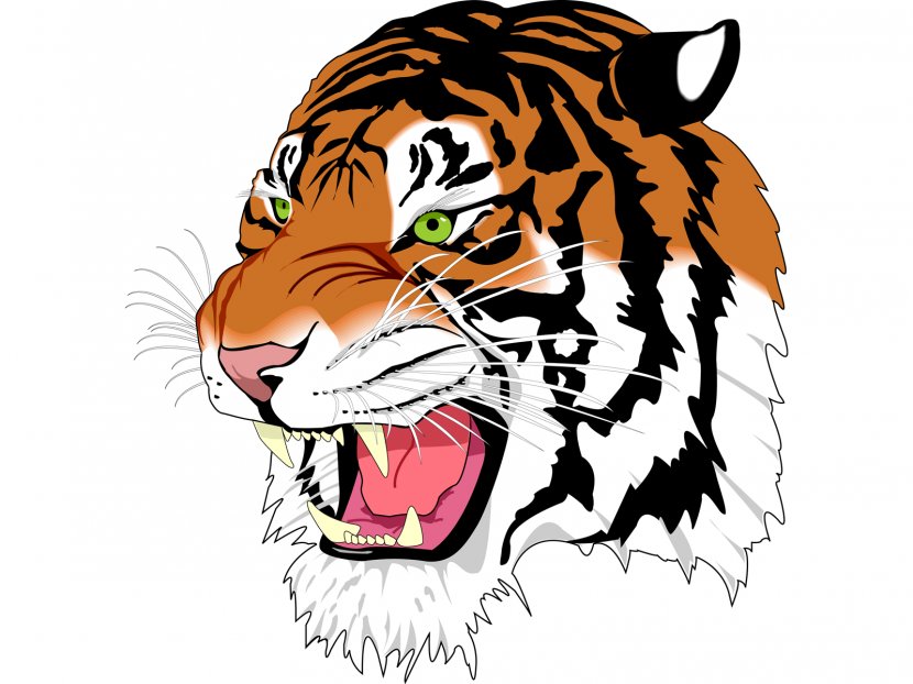 Tiger Computer File - Cat Like Mammal - Image, Free Download, Tigers Transparent PNG