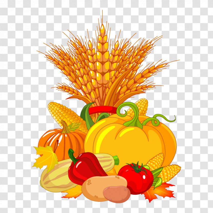 Autumn Harvest Festival Clip Art - Calabaza - Corn Transparent PNG