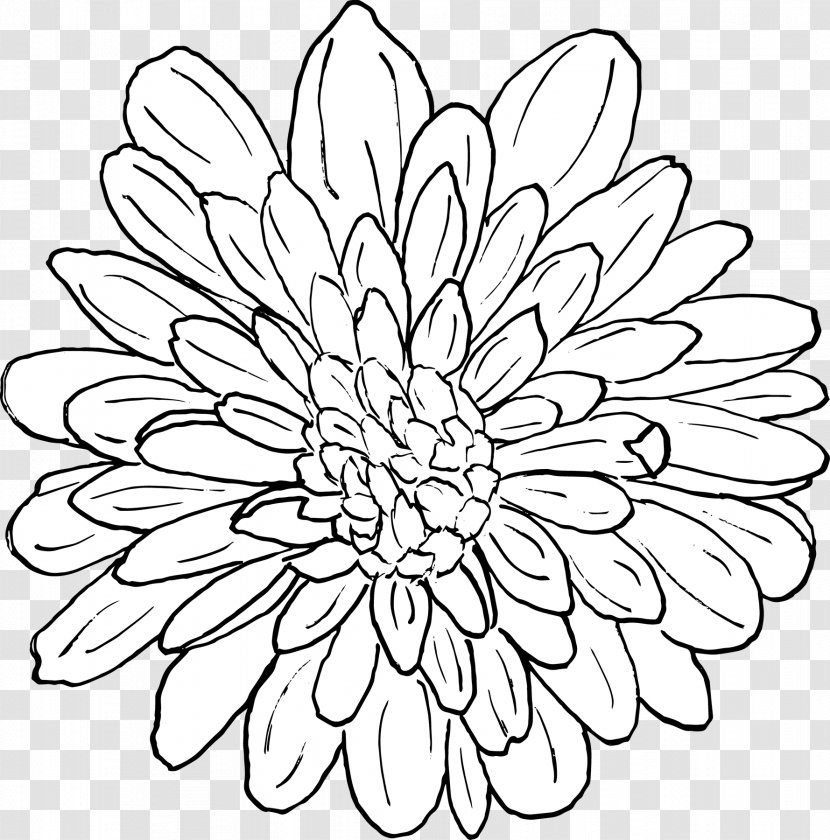 Chrysanthemum Floral Design Line Art Coloring Book Pattern - Petal Transparent PNG