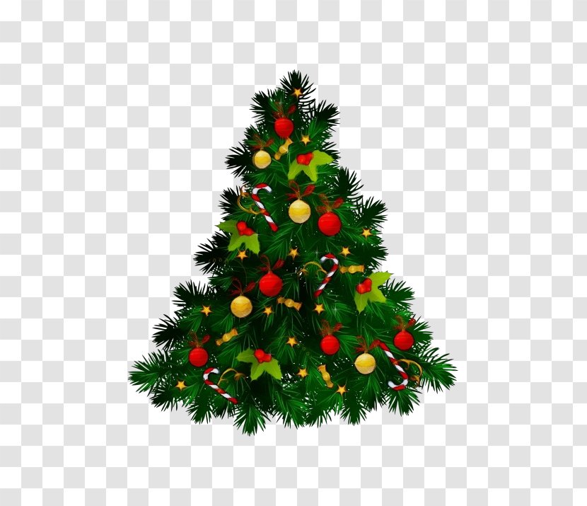 Christmas Tree - Pine Holiday Ornament Transparent PNG