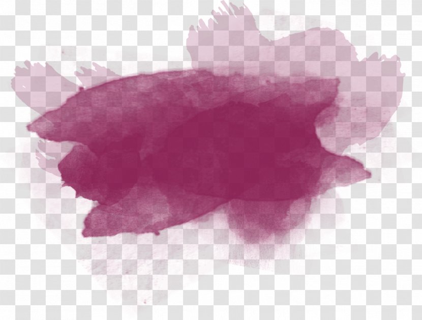 Pink M Close-up - Flower - Wein Transparent PNG