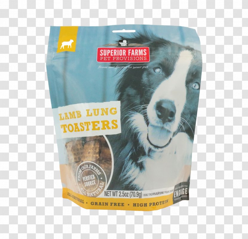 Dog Biscuit Chicken Jerky Food Transparent PNG