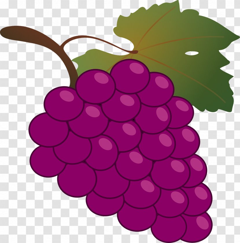 Common Grape Vine Wine Grappa Clip Art - Vitis - Bunch Of Grapes Transparent PNG