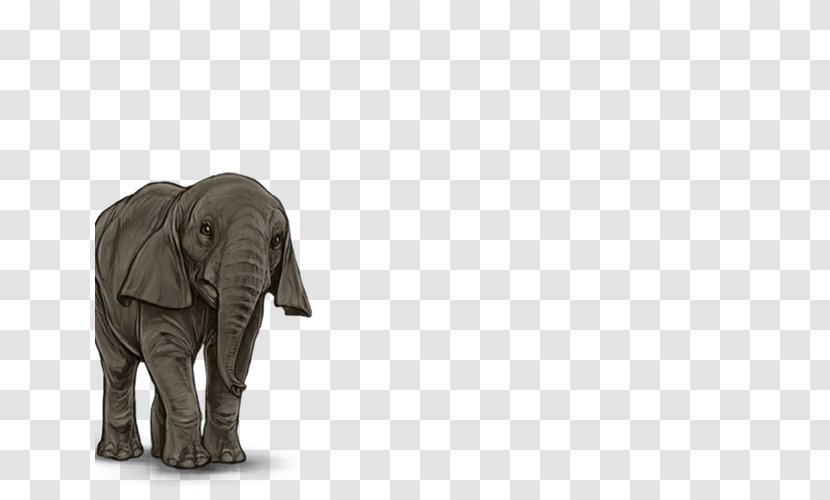 Indian Elephant African Wildlife - Animal - India Transparent PNG