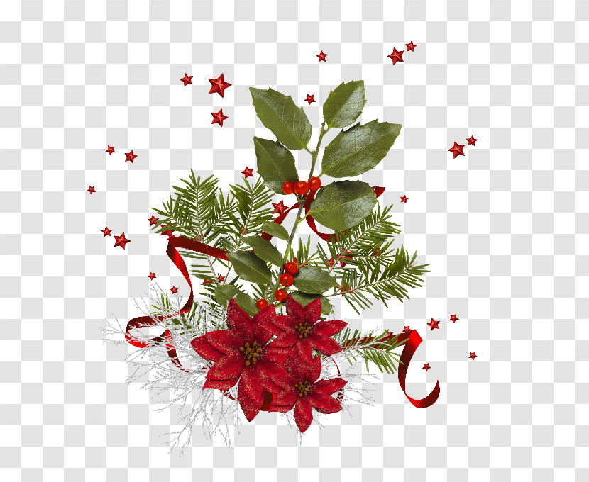 Holly Transparent PNG