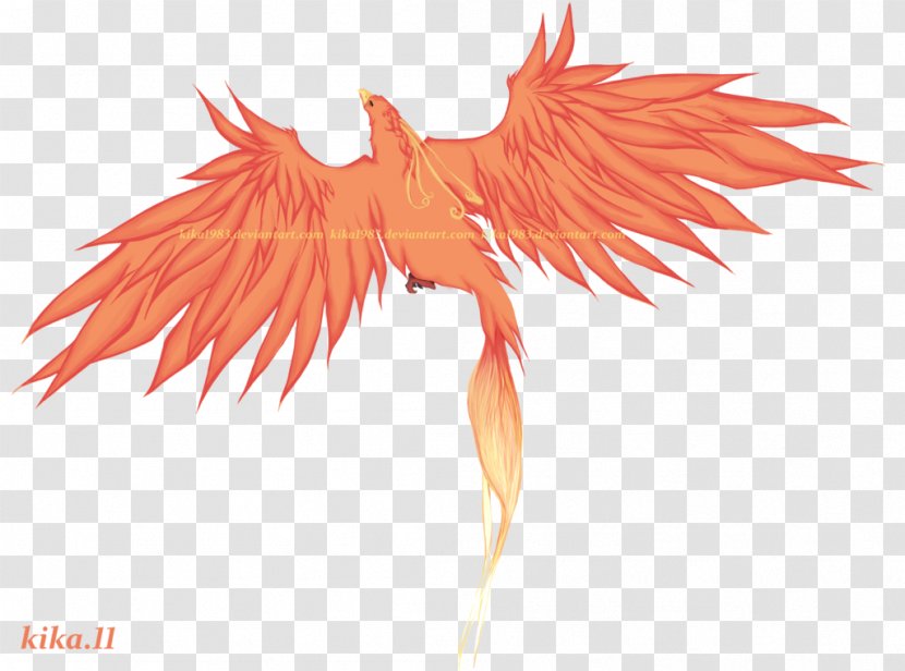 Tattoo Feather Phoenix - Wings Transparent PNG