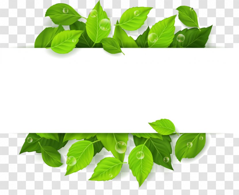 Leaf Royalty-free Illustration - Tree - Green Leaves Vector Free Text Input Box To Pull The Material Transparent PNG