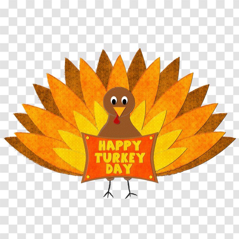 Turkey Meat Thanksgiving Clip Art - Flower Transparent PNG