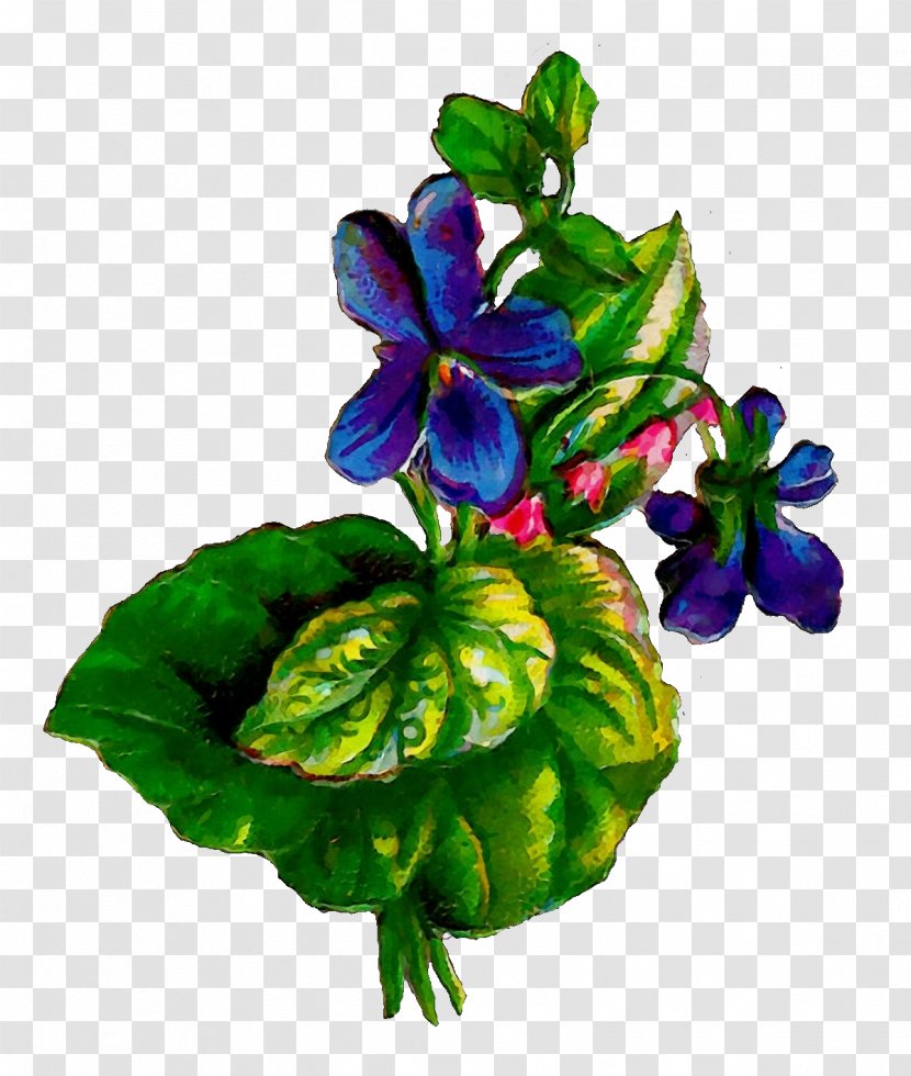Watercolor Flower Background - Leaf - Perennial Plant Geranium Transparent PNG