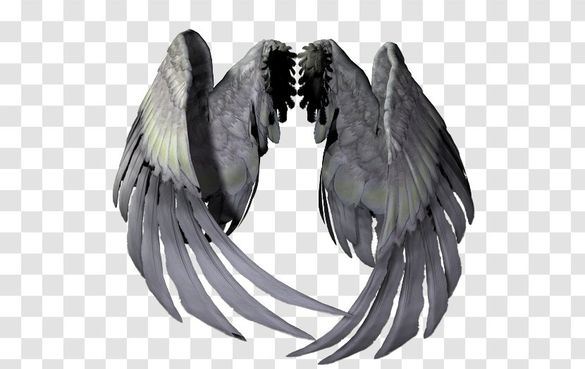 Adobe Photoshop Angel Clip Art GIF - Photography - Wings Icon Transparent PNG