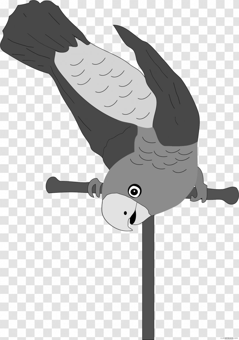 Bird Budgerigar Cockatiel Parakeet Clip Art - Talking Transparent PNG