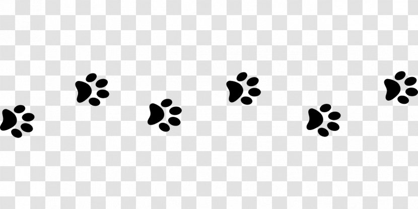 Cat Food Dog Kitten Paw - Footprint - Passionate Transparent PNG