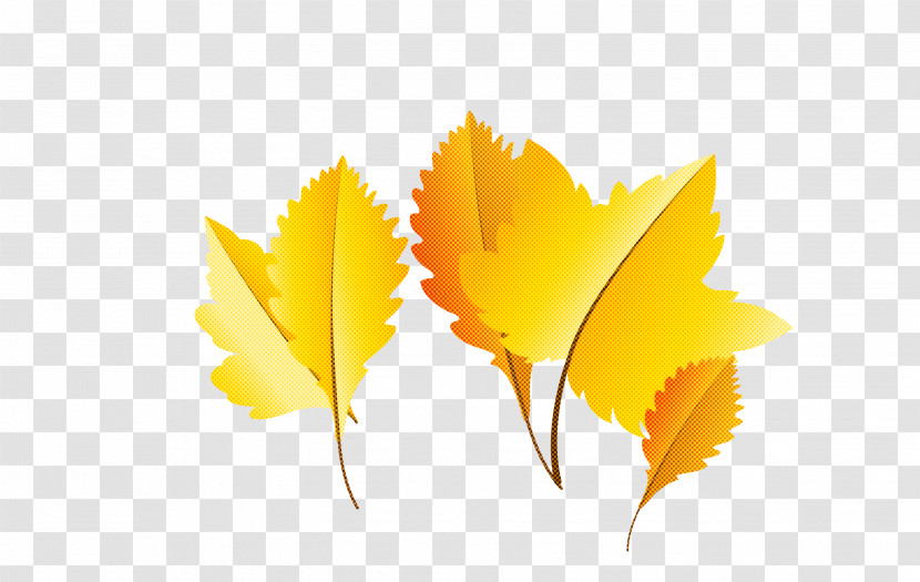 Maple Leaf Transparent PNG