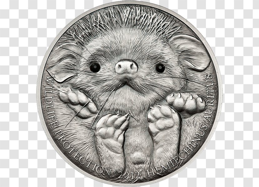 Mongolian Tögrög Long-eared Hedgehog Silver Coin - Mammal Transparent PNG