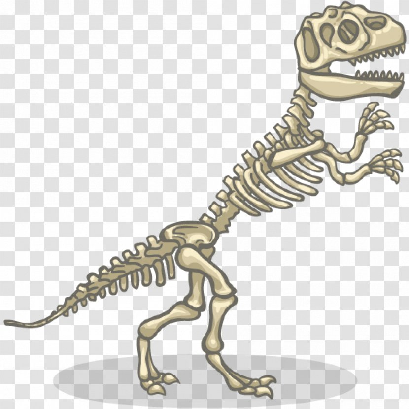 Tyrannosaurus Velociraptor Dinosaur Diplodocus Allosaurus - Terrestrial Animal - Skeleton Transparent PNG