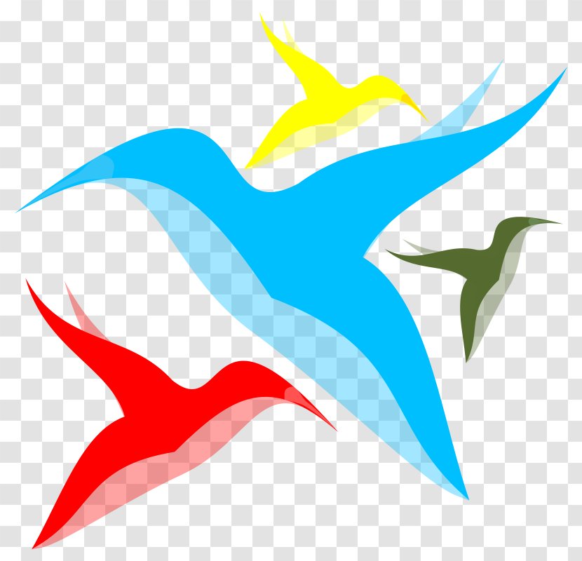 Clip Art - Beak - Free Bird Vector Transparent PNG