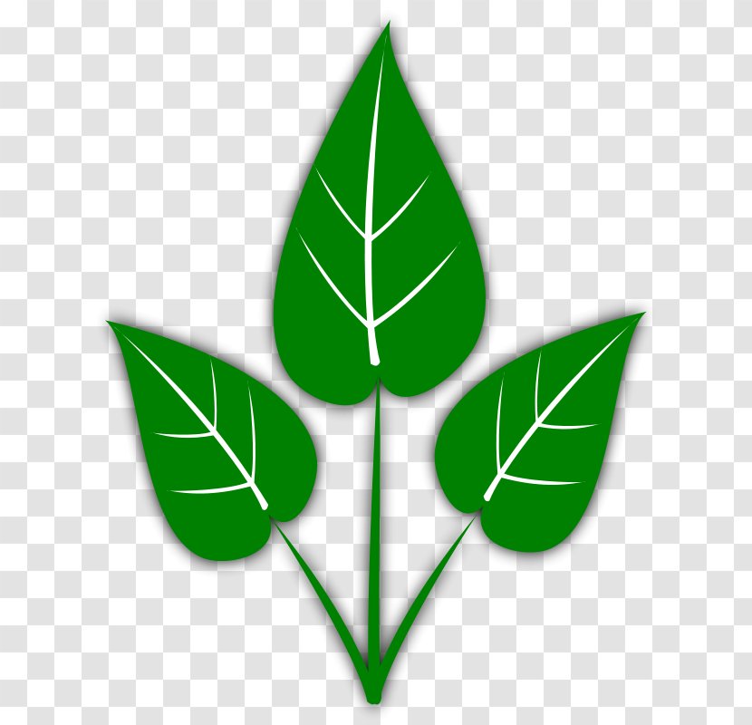 Leaf Free Content Clip Art - Grass - Green Pepper Clipart Transparent PNG