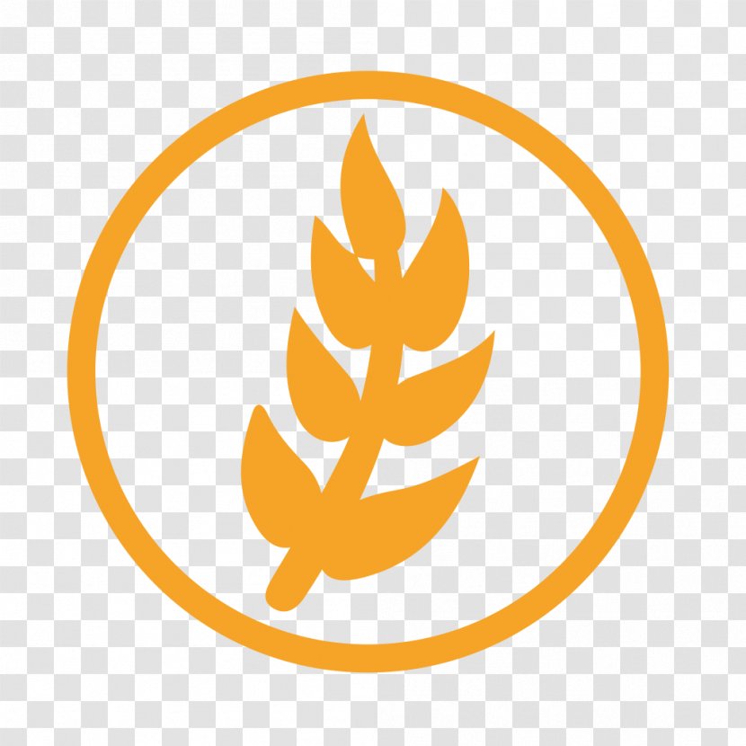 Wheat Allergy Allergen Food Transparent PNG