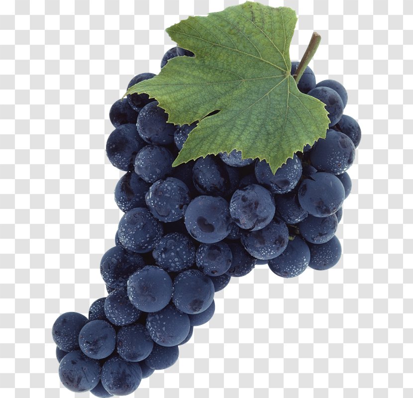 Common Grape Vine Clip Art - Superfood Transparent PNG
