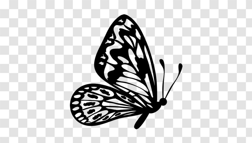 Butterfly Drawing Clip Art - Color - Brush Footed Transparent PNG