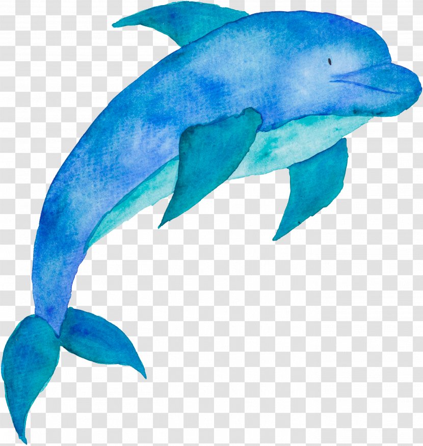 Clip Art Poster Cetacea Illustration - Dolphin Transparent PNG