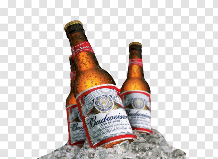 Budweiser Beer Anheuser-Busch InBev Distilled Beverage - Brewery Transparent PNG