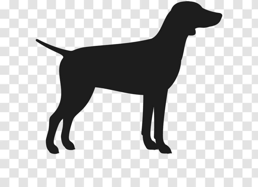 Labrador Retriever Flat-Coated Dog Breed Puppy German Shorthaired Pointer - Shepherd Silhouette Transparent PNG