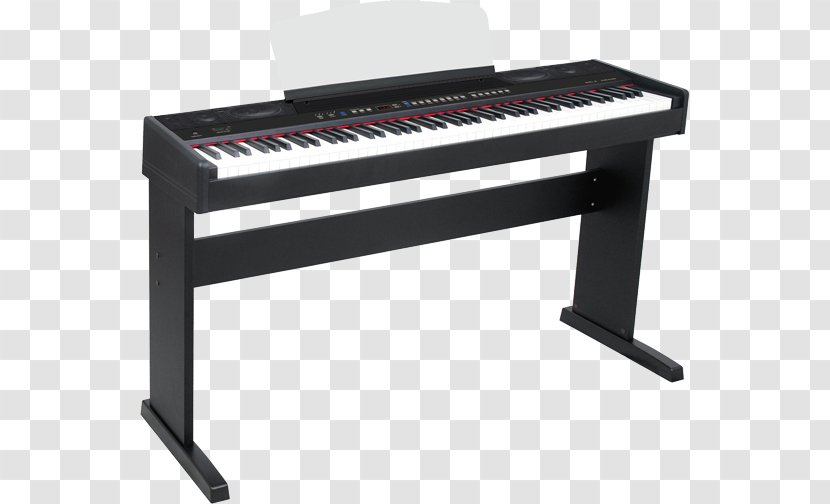 Digital Piano Electric Nord Electro Player Electronic Keyboard - Musical Instrument Accessory Transparent PNG