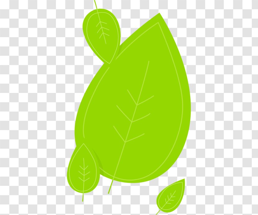Matcha Evolution Clip Art Leaf Turtle Transparent PNG