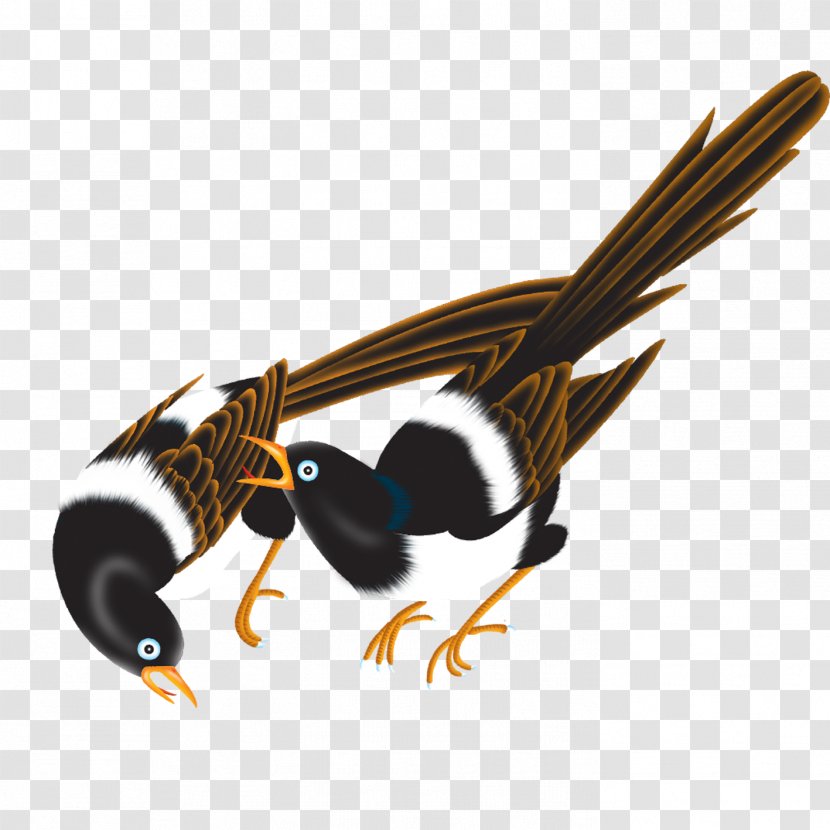 Insect Beak Pollinator Illustration - Membrane Winged - Bird Transparent PNG