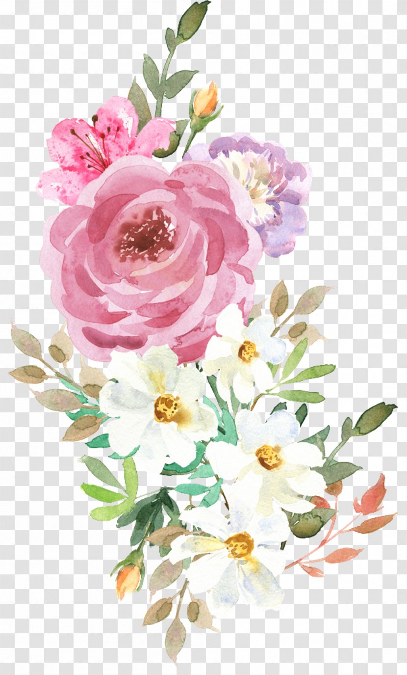Garden Roses Flower Illustration Vector Graphics IStock - Camellia - Painted Flowers Watercolor Transparent PNG