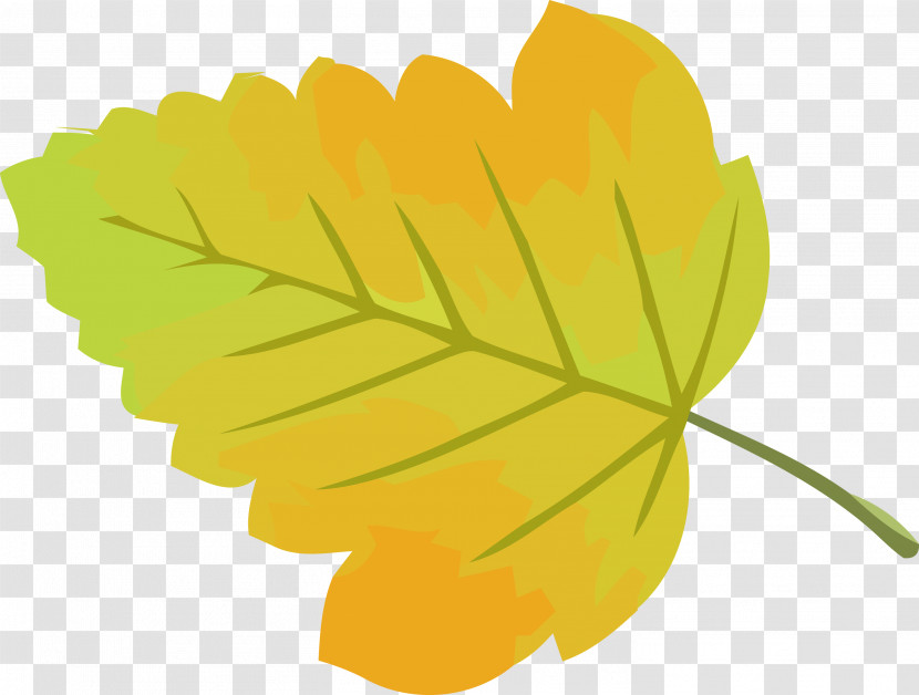 Autumn Leaf Yellow Leaf Leaf Transparent PNG