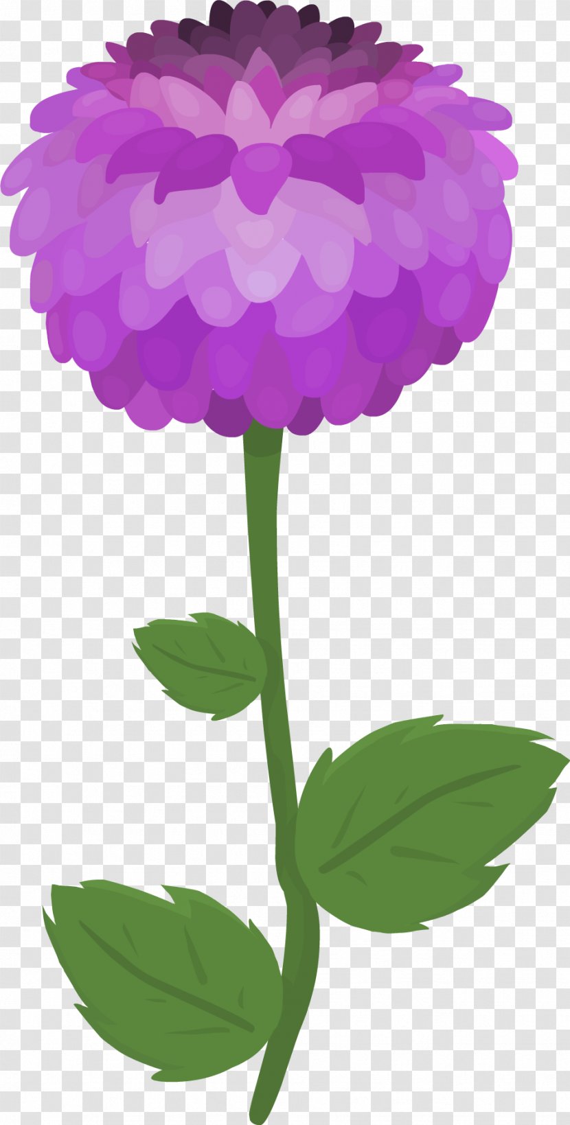 Petal Cut Flowers Plant Stem Leaf Herbaceous - Purple - Dahlia Transparent PNG