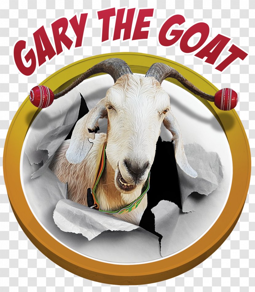 Gary The Goat Sheep Ahuntz T-shirt - Cattle - Goats Transparent PNG