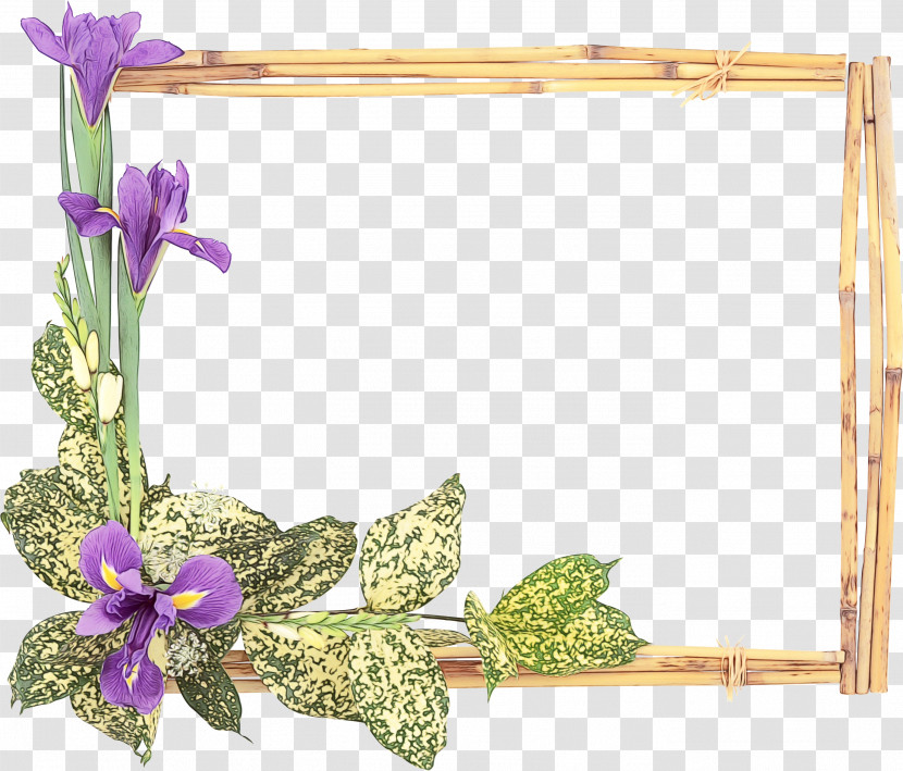 Picture Frame Transparent PNG