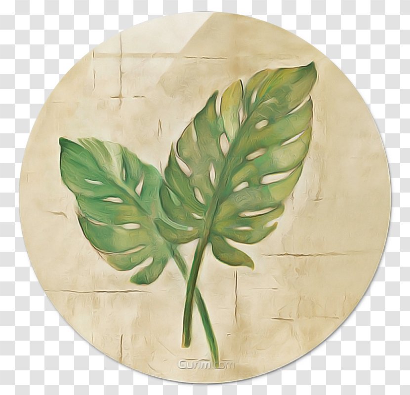 Green Leaf Background - Dishware - Wildflower Anthurium Transparent PNG