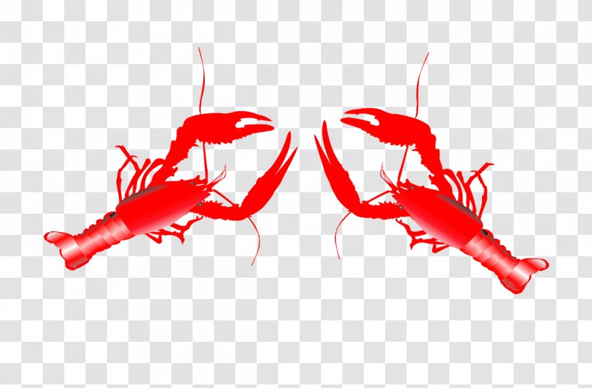 Lobster Seafood Palinurus Elephas - Frame - Cartoon Transparent PNG