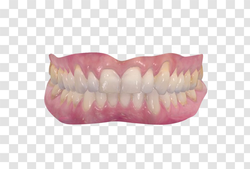 3Shape Dentistry Image Scanner Radiology - Dental Arch Transparent PNG