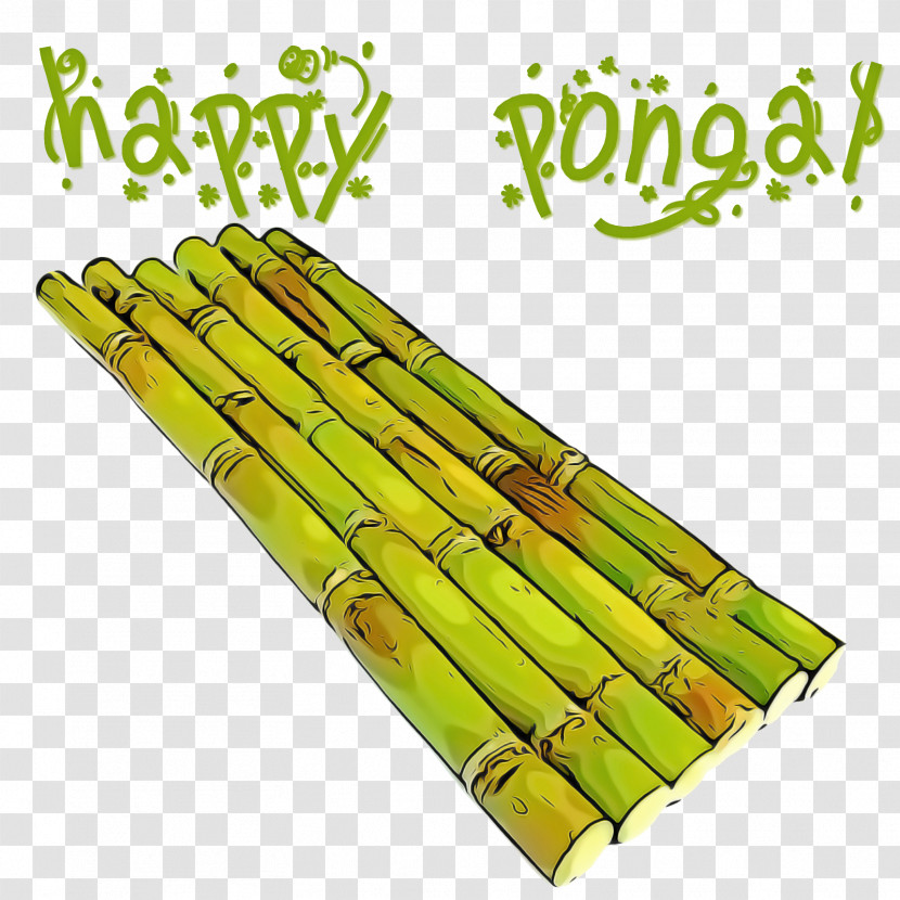 Asparagus Bamboo Plant Bamboo Shoot Vegetable Transparent PNG