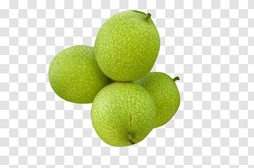 Walnut Peel Fruit - Persian Lime - Walnuts Transparent PNG