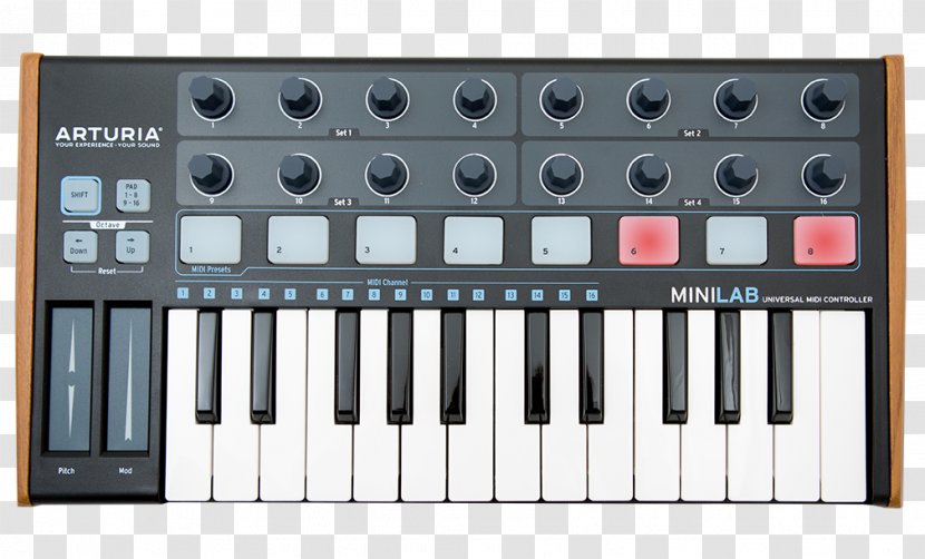 Arturia MiniBrute MIDI Controllers Keyboard Sound Synthesizers - Cartoon - Play The Piano Transparent PNG