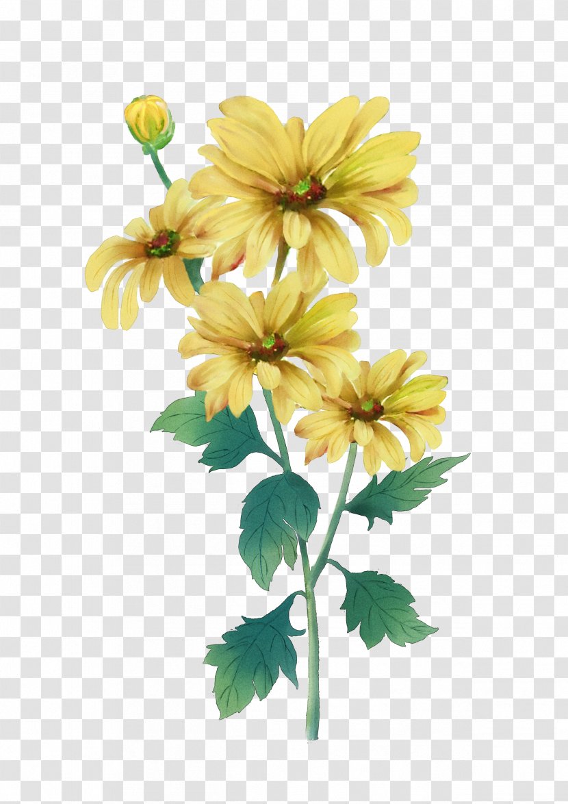 Double Ninth Festival Chrysanthemum Watercolor Painting Yellow - Petal Transparent PNG