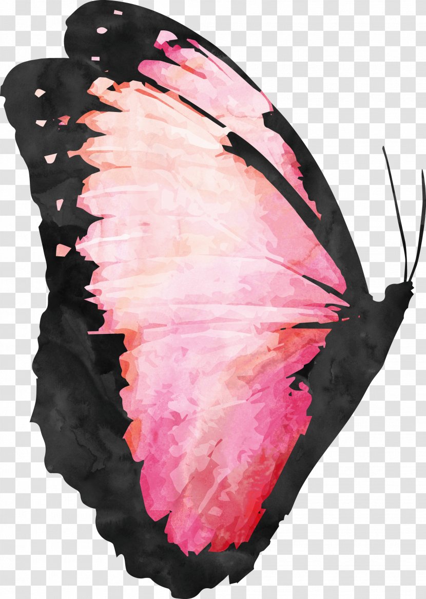 Butterfly Watercolor Painting - Moths And Butterflies Transparent PNG