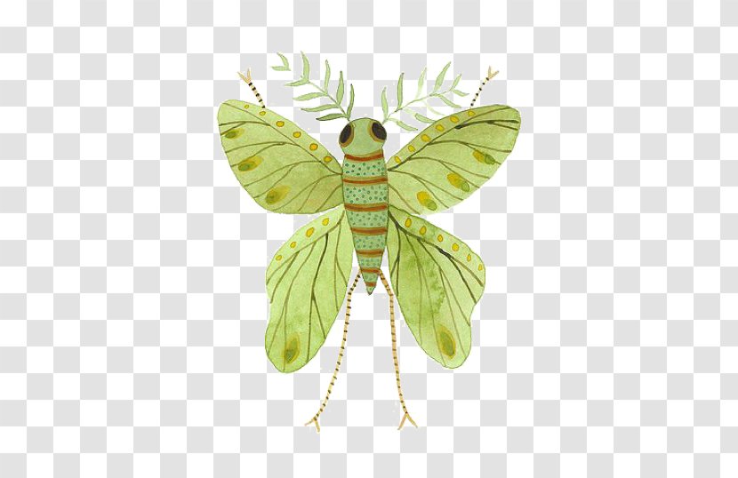 Butterfly Insect Watercolor Painting Illustration - Moths And Butterflies - Green Flies Transparent PNG