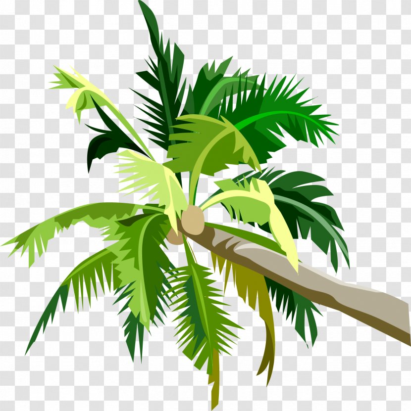Palm Trees Clip Art Desktop Wallpaper Image - Leaf - Trachycarpus Fortunei Transparent PNG
