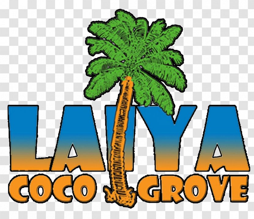 Laiya Beach Coco Grove Resort - Arecaceae - Coconut Transparent PNG