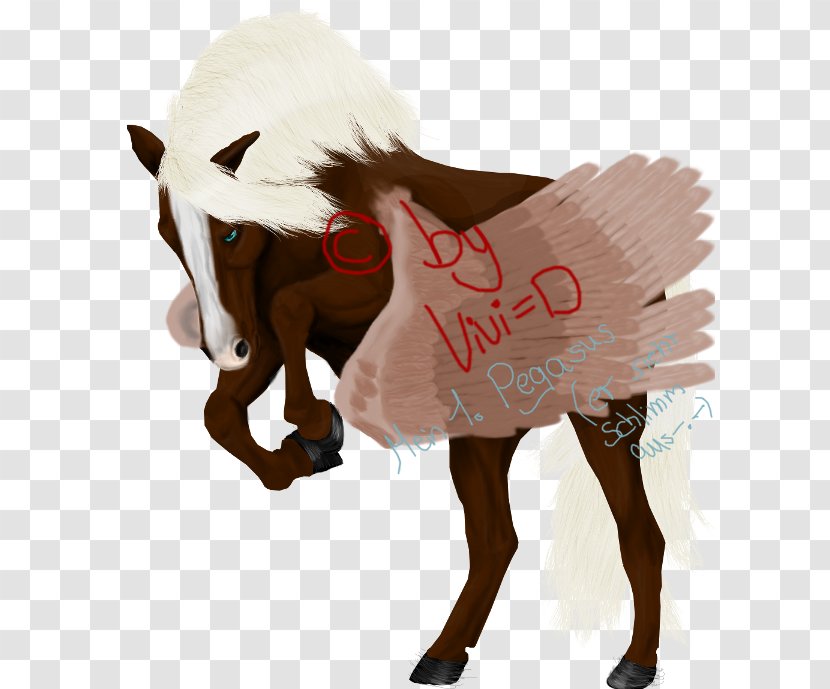 Reindeer Horse Fur Transparent PNG