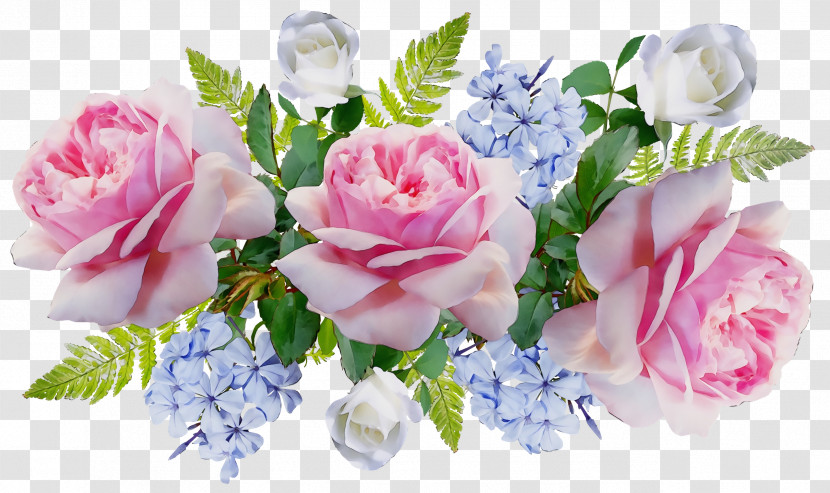 Garden Roses Transparent PNG