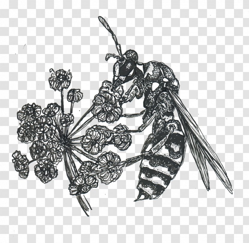 Insect Body Jewellery White - Black And Transparent PNG