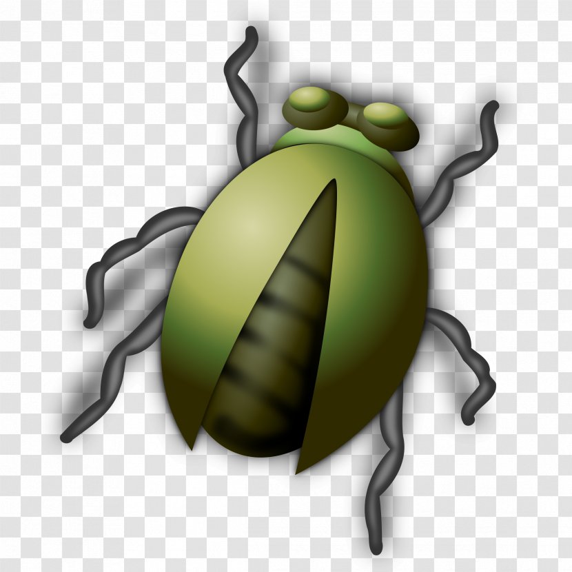 Insect Clip Art - Beetle - Bugs Transparent PNG